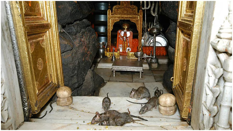 Karni Mata Mandir HD image