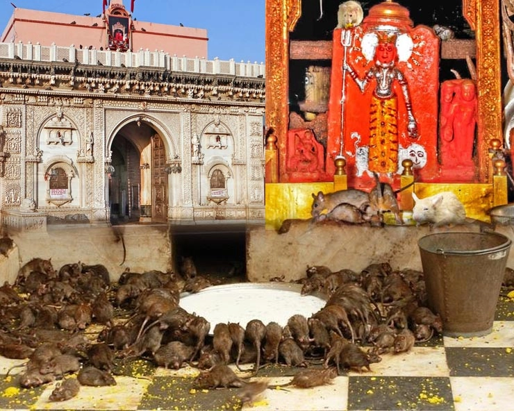 Karni Mata Mandir