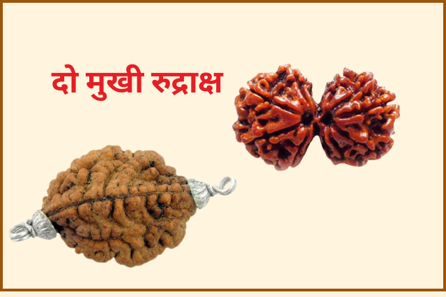 Do Mukhi Rudraksha Kya Hota Hai