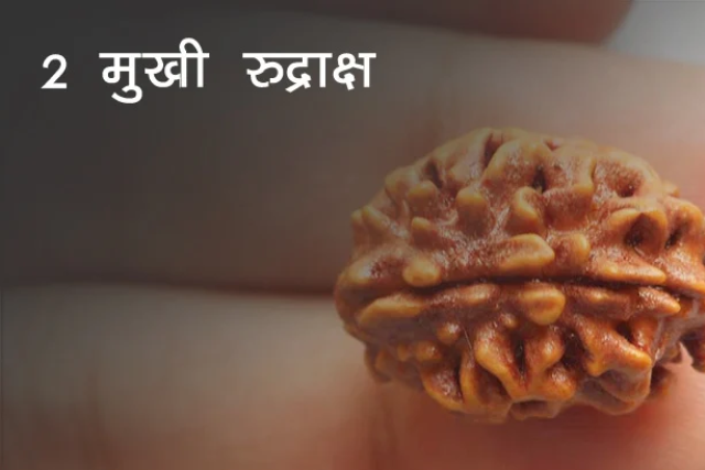 Do Mukhi Rudraksha Pehene Ki Vidhi Aur Niyam